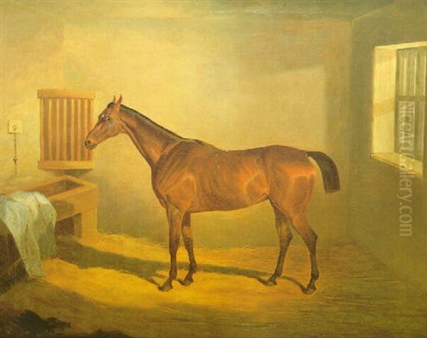 Caballo En El Establo Oil Painting by David of York Dalby