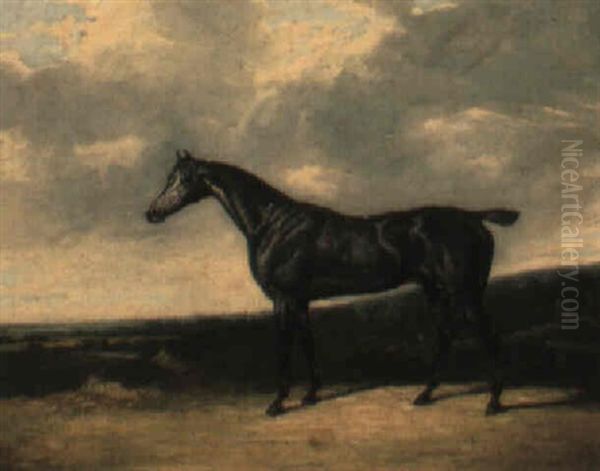 A Grey Racehorse In A Landscape Oil Painting by David of York Dalby