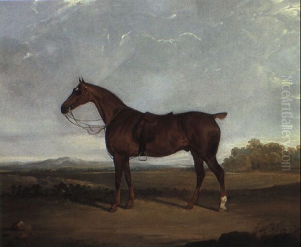 A Saddled Bay Hunter In A Landscape Oil Painting by David of York Dalby