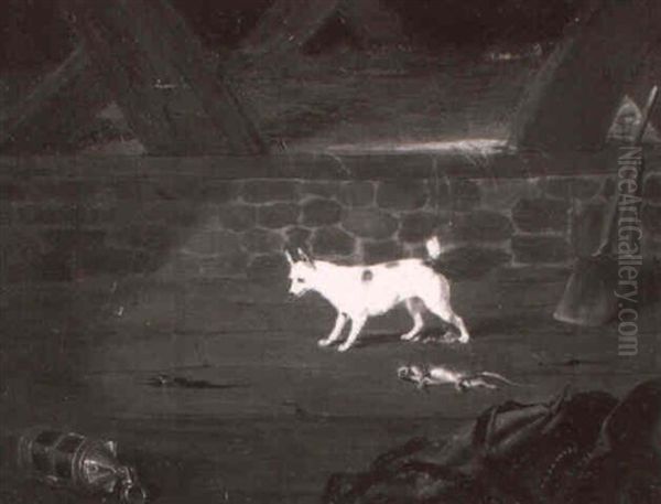 A Terrier Ratting In A Barn Oil Painting by David of York Dalby