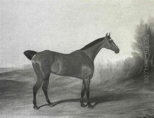 Portrait Of A Bay Hunter In A Landscape Oil Painting by David of York Dalby