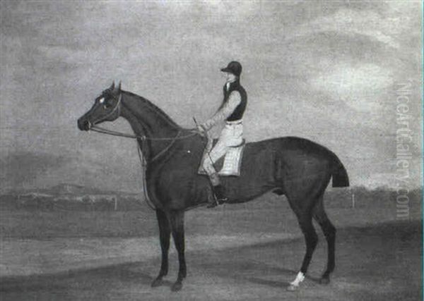 Study Of A Starred Bay Horse With Jockey Up Oil Painting by David of York Dalby