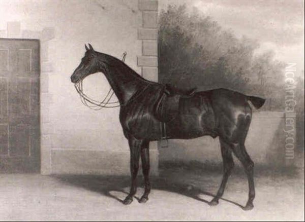 A Saddled Chestnut Hunter In A Courtyard Oil Painting by David of York Dalby