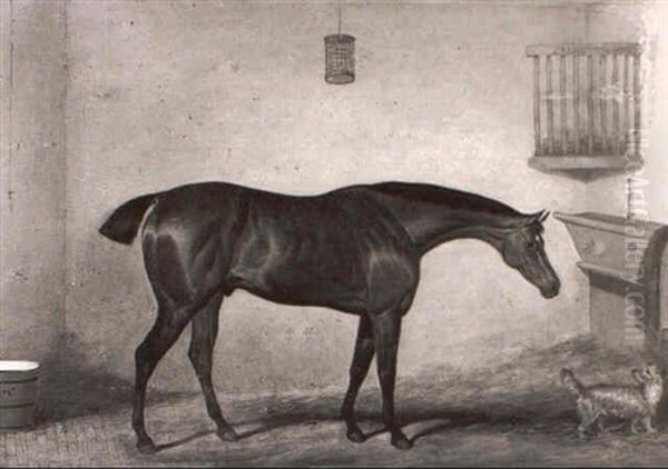 President, A Chestnut Hunter With A Terrier In A Loosebox Oil Painting by David of York Dalby