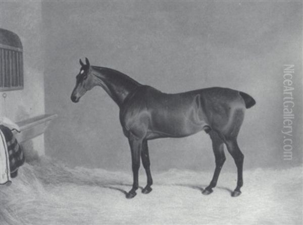 A Chestnut Bay In A Loose Box Oil Painting by David of York Dalby