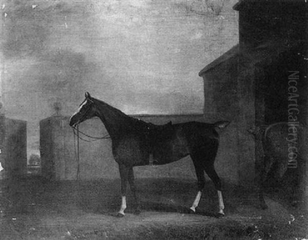 A Hunter In A Stable Yard Oil Painting by David of York Dalby
