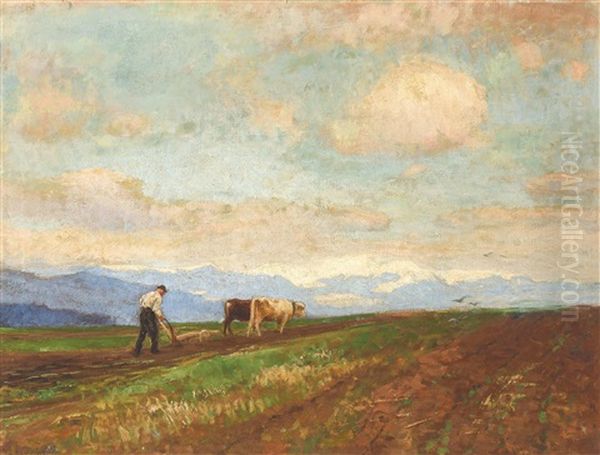 Pflugender Bauer Mit Ochsengespann Oil Painting by Constantin Damianos