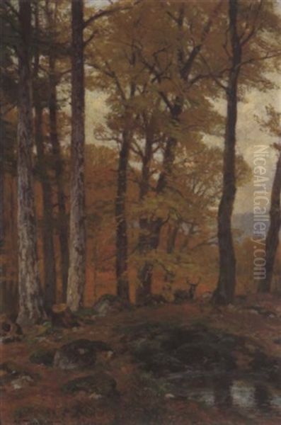 Rotwild Im Herbstwald Oil Painting by Hugo Darnaut