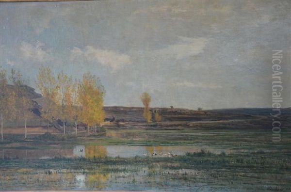 Les Marais D'optevoz Oil Painting by Charles-Francois Daubigny