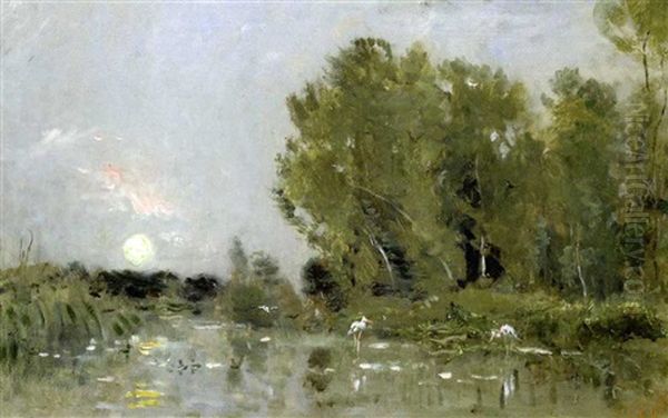 Coucher De Soleil Sur Un Marais. Cigognes Et Canards Oil Painting by Charles-Francois Daubigny