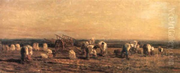 Recolte Des Pommes De Terre Oil Painting by Charles-Francois Daubigny