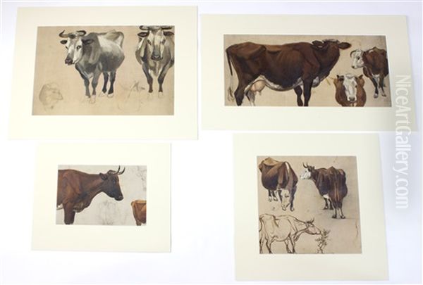 Cattle (4 Studies) Oil Painting by Henry William Banks Davis, R.A.