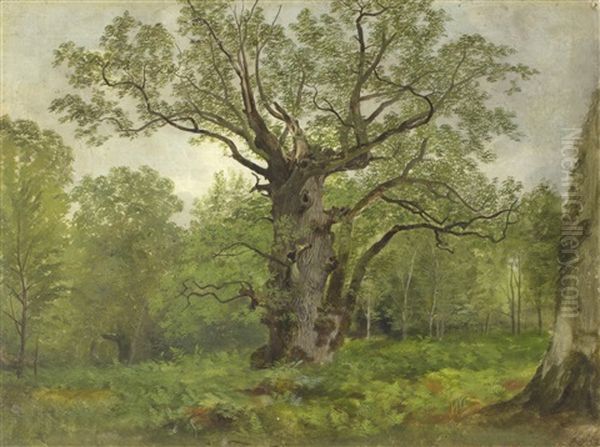 An Old Oak Tree In A Woodland Landscape Oil Painting by Henry William Banks Davis, R.A.