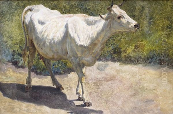 Study Of A White Cow Oil Painting by Henry William Banks Davis, R.A.