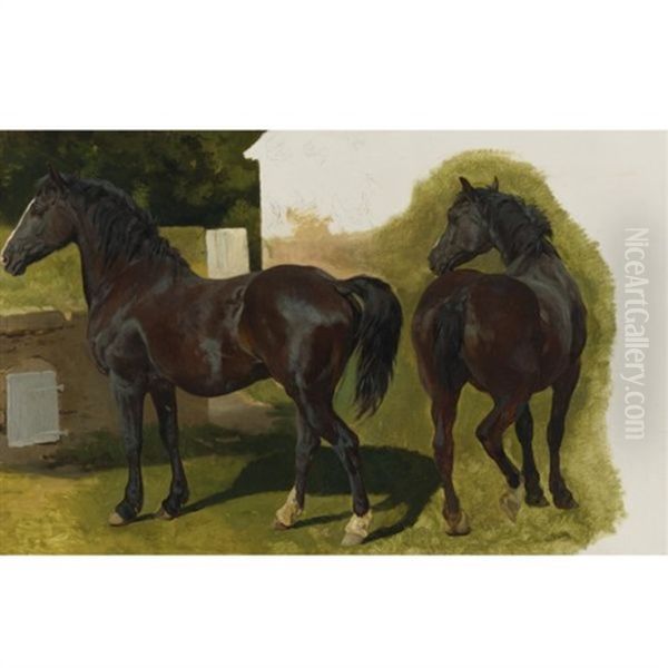 Welsh Cobb (study) Oil Painting by Henry William Banks Davis, R.A.