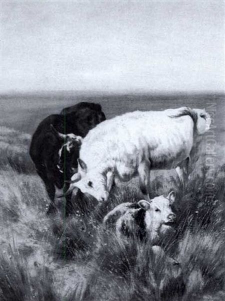 Cattle On A Cliff Top Oil Painting by Henry William Banks Davis, R.A.