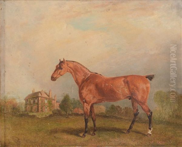 Horse In A Landscape Oil Painting by Richard Barrett Davis