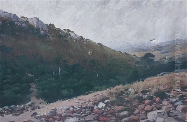 Cerro Empedrado Oil Painting by Carlos Maria De Santiago