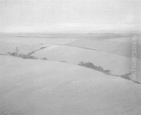 Paisaje De Campo Oil Painting by Carlos Maria De Santiago