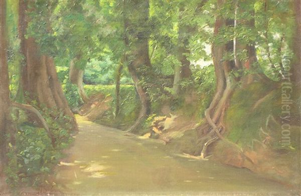 Strumien Lesny Po Burzy Oil Painting by Stanislaw Debicki