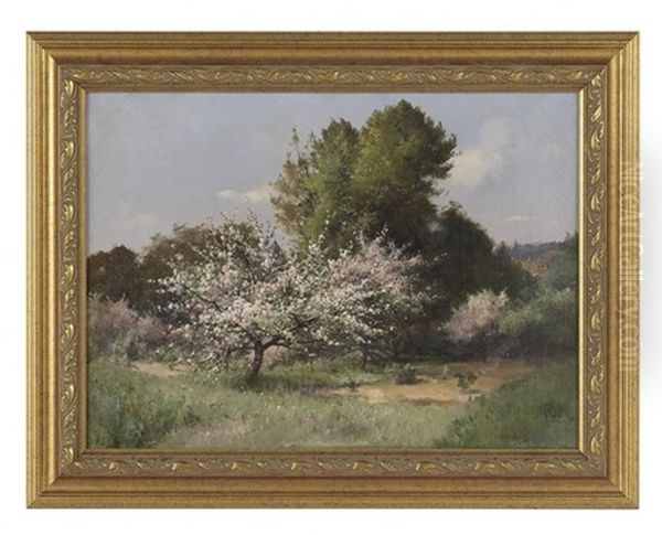 Cerisiers En Fleurs, Pres De Picardie Oil Painting by Albert Decamps