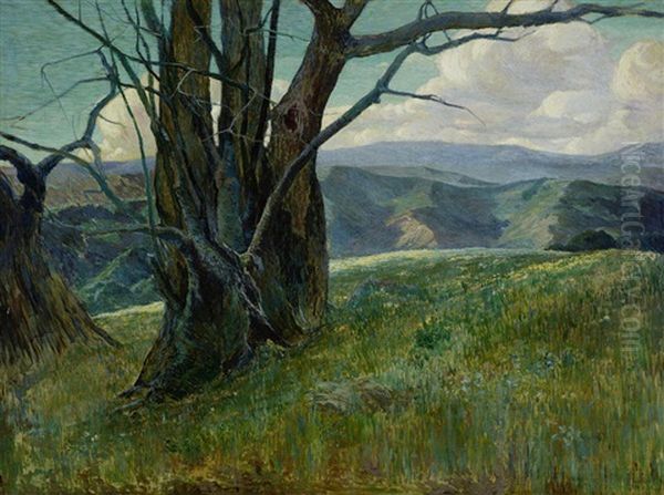 Trees On A Ridge Full Of Wildflowers Oil Painting by Maurice Auguste Del Mue
