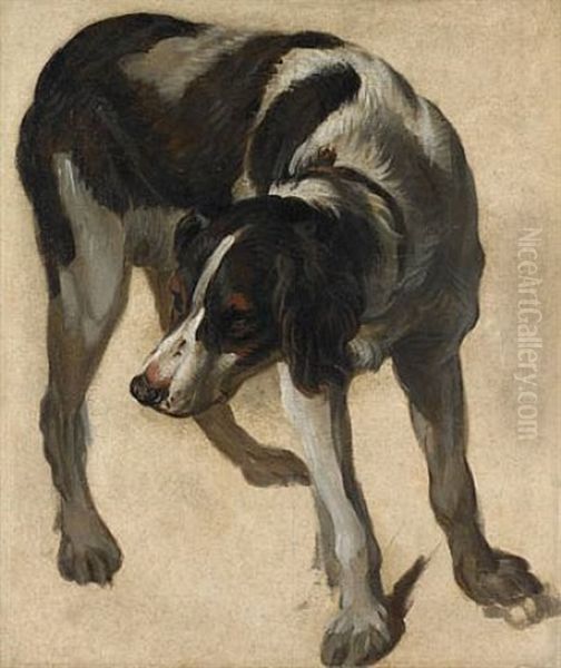 Crane In Marsh Oil Painting by Alexandre-Francois Desportes