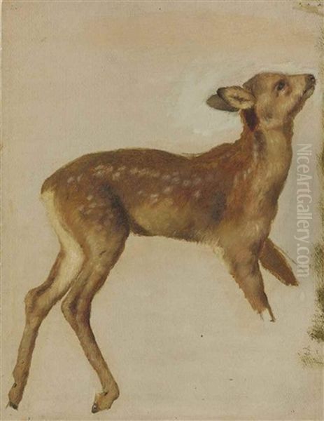 Study Of A Fawn Oil Painting by Alexandre-Francois Desportes