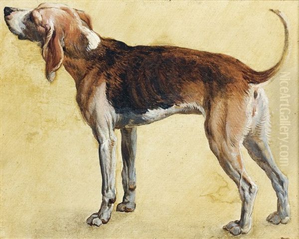Rougeaude, Chienne De La Meute De Louis Xiv Oil Painting by Alexandre-Francois Desportes