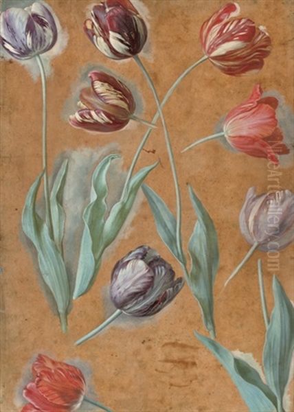 Tulips (study) Oil Painting by Alexandre-Francois Desportes