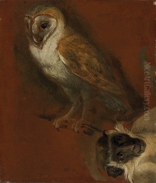 An Owl, With A Fragmentary Study Of A Monkey (study) Oil Painting by Alexandre-Francois Desportes