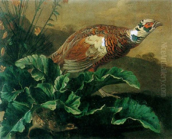 A Pheasant And A Partridge In A Landscape Oil Painting by Alexandre-Francois Desportes