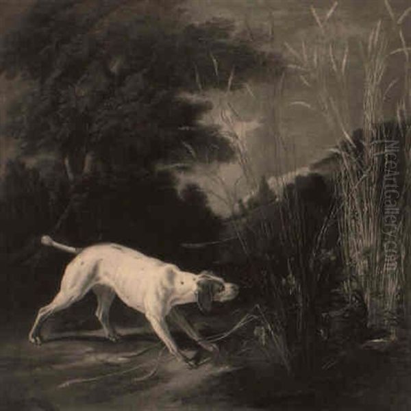 Chien A L'arret Devant Un Faisan Oil Painting by Alexandre-Francois Desportes