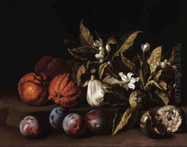 Still Life With Plums, Oranges And Orange Blossoms On A Stone Ledge Oil Painting by Alexandre-Francois Desportes