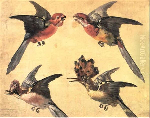 Etudes D'oiseaux: Deux Petits Perroquets, Une Huppe Et Un   Geai Oil Painting by Alexandre-Francois Desportes