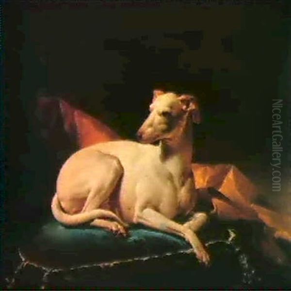 Chien Assis Sur Un Coussin Oil Painting by Alexandre-Francois Desportes