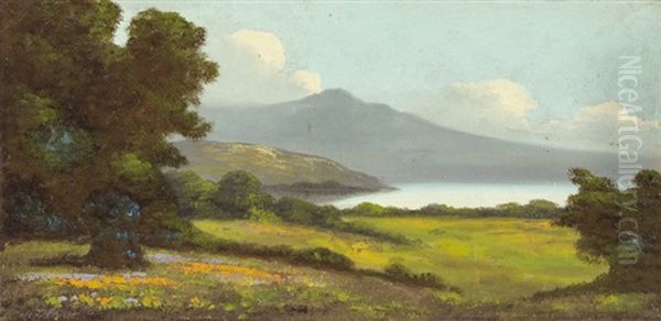 Bolinas Bay - Mt. Tamalpais Oil Painting by Richard Detreville