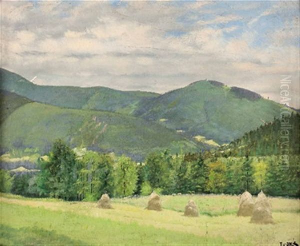 Wiesen- Und Waldlandschaften (3 Works) Oil Painting by Frantisek Xaver Diblik