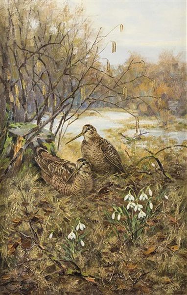 Schnepfenpaar Im Vorfruhling Oil Painting by Erich Dichtl