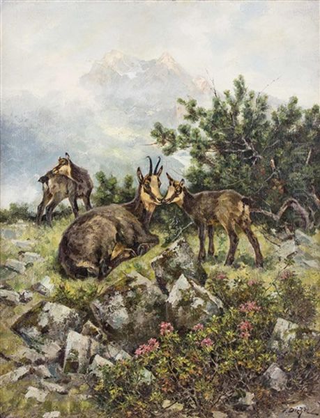 Gemsen Zur Sommerzeit Im Hochgebirge Oil Painting by Erich Dichtl