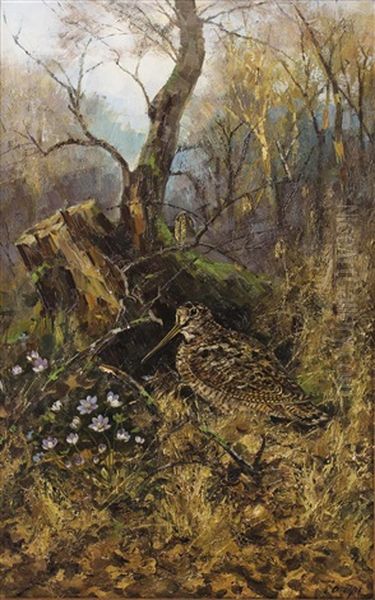 Schnepfe Im Herbstwald Oil Painting by Erich Dichtl
