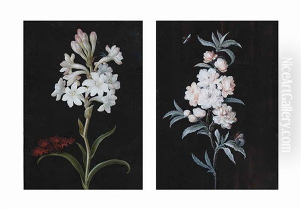 Still Life Of White Flowers And A Butterfly And Still Life Of Dog Roses And Insects (2 Works) Oil Painting by Margaretha Barbara Dietzsch
