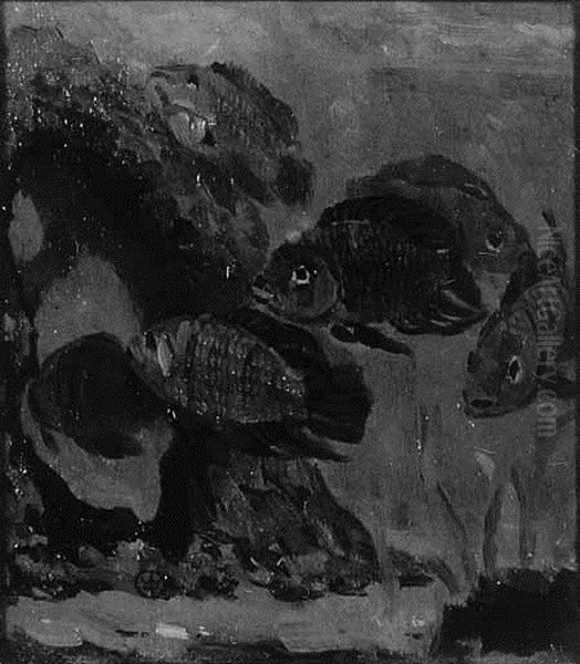 Vissen In Een Aquarium Oil Painting by Gerrit Willem Dijsselhof