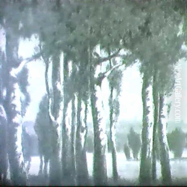 Birkenhain An Ainem Sommerabend. Oil Painting by Ludwig Dill