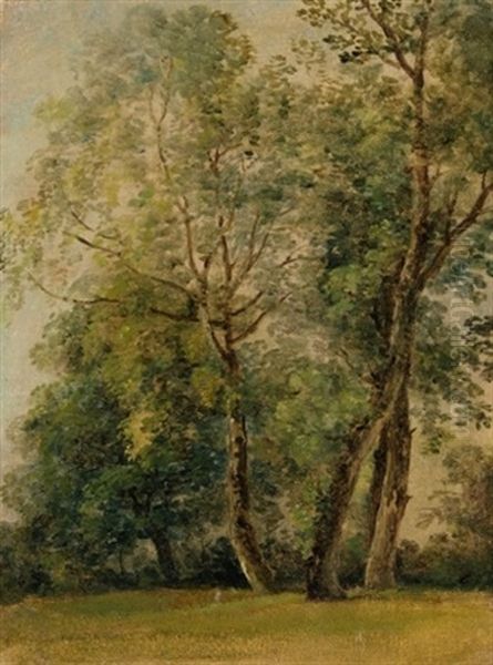 Baume Im Englischen Garten Oil Painting by Georg Maximilian Johann Von Dillis