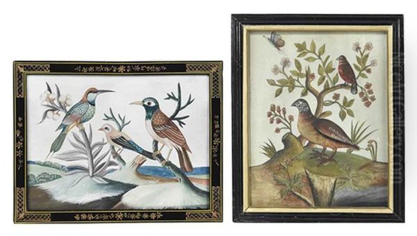 Indian Bee-eater (+ 2 Others, Lrgr; 3 Works) Oil Painting by Samuel Dixon