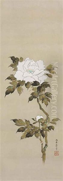 White Peony Oil Painting by Sakai Doitsu