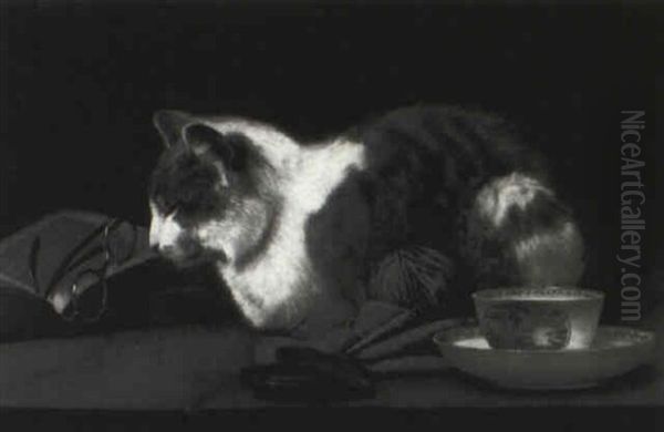 Cat Nap Oil Painting by John Henry Dolph