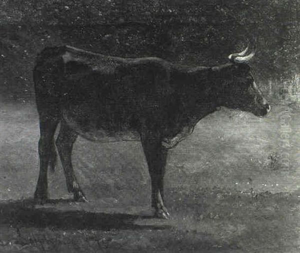 Bull In A Pasture Oil Painting by John Henry Dolph