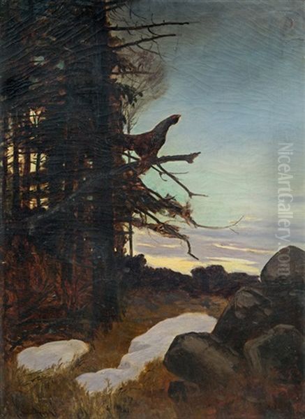 Forest Glade With Capercaillie Cock Oil Painting by Carl von Dombrowski